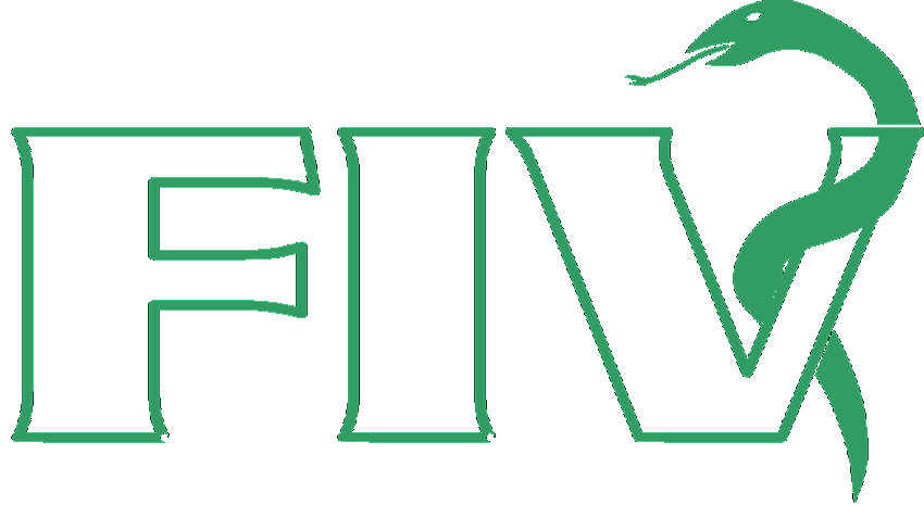 Galeria FIV
